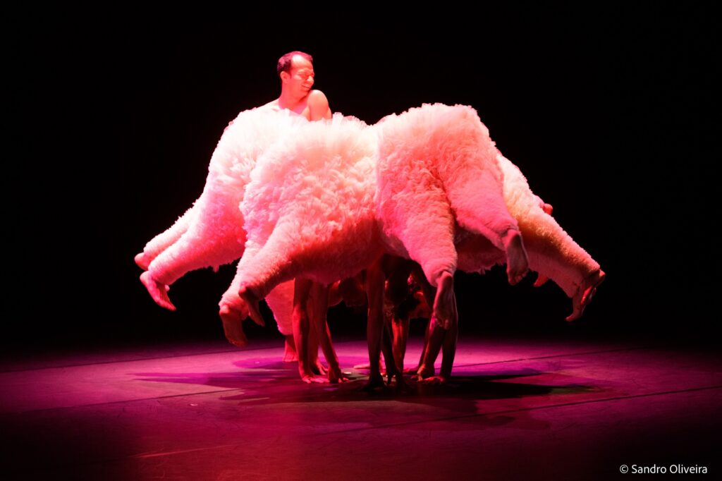 Tutu2
